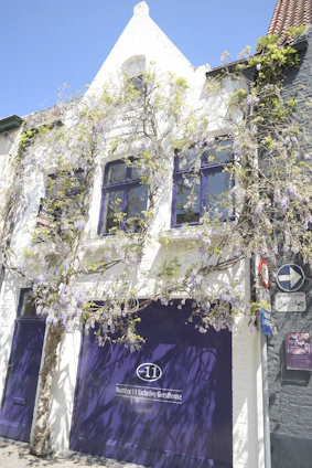 Charming exterior view of Oxforddream guesthouse bathed in soft morning light with blooming flowers at the entrance.