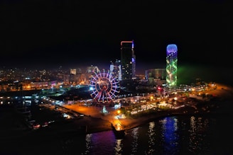 ferris wheel near body of water during night time