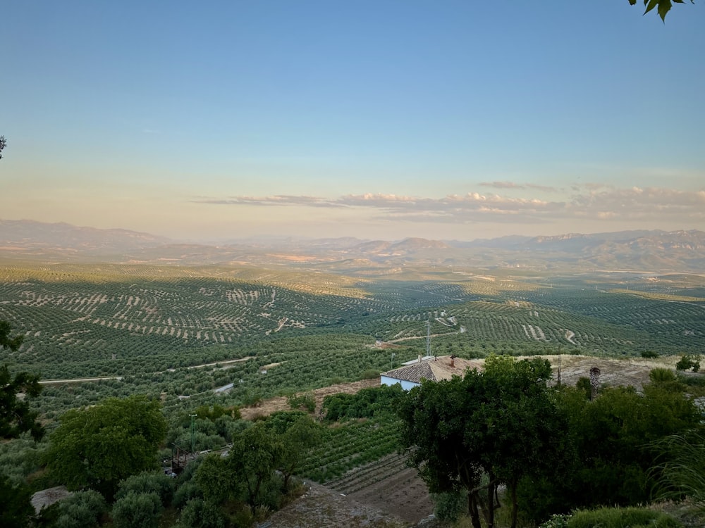 aerial view of city during daytime