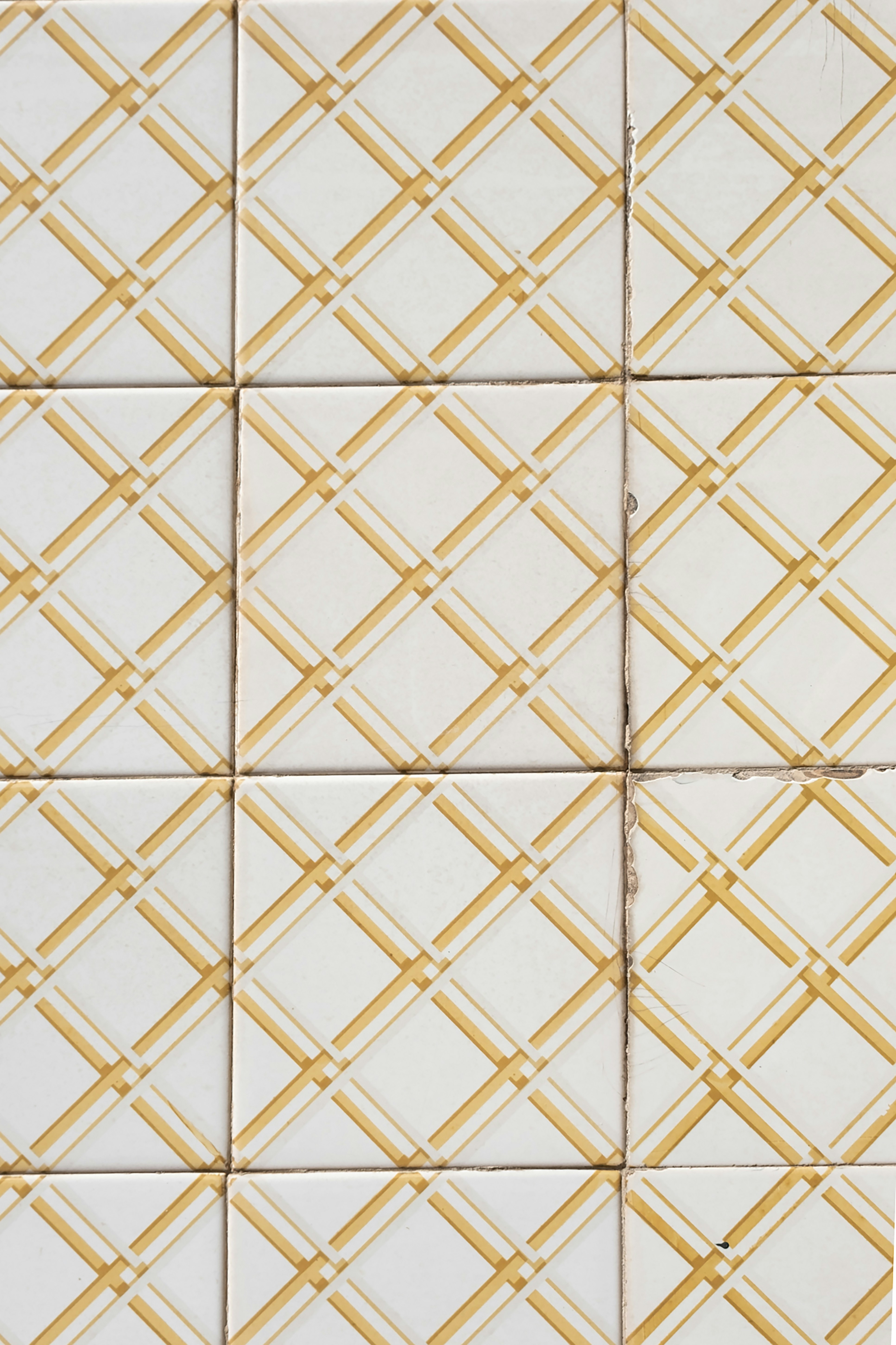 Photo by freguesiadeestrela