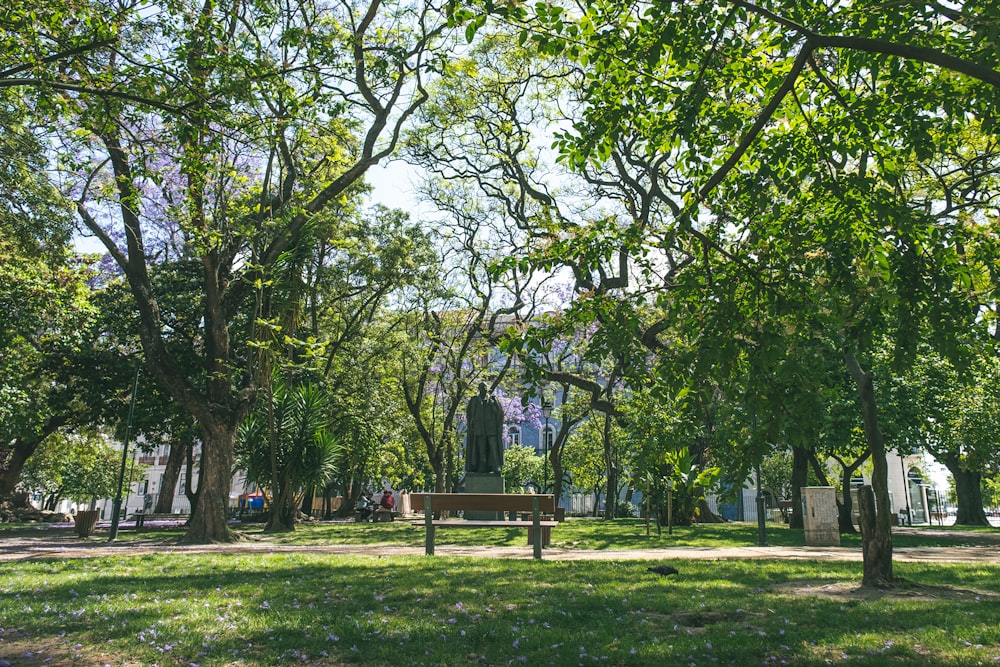 green trees on green grass field during daytime