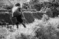 grayscale photo of man in t-shirt and shorts carrying bag walking on grass field