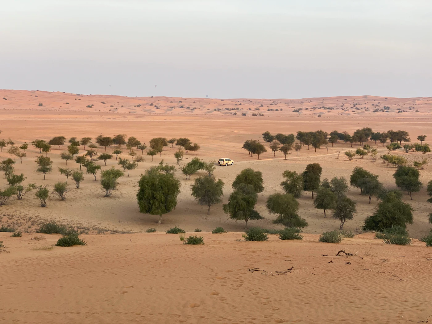Jusqu’aux zones vertes du sud