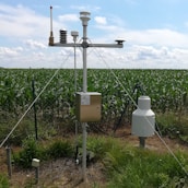 A meteorological station is set up in a field of green crops, likely corn, under a partly cloudy sky. The station has several sensors and instruments mounted on a tall pole, secured with metal wires. Grassy vegetation surrounds the station, and a wire fence is visible in the background.
