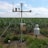 A meteorological station is set up in a field of green crops, likely corn, under a partly cloudy sky. The station has several sensors and instruments mounted on a tall pole, secured with metal wires. Grassy vegetation surrounds the station, and a wire fence is visible in the background.