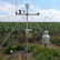 Close-up of a healthy crop field with a weather monitoring device in the foreground.