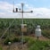A meteorological station is set up in a field of green crops, likely corn, under a partly cloudy sky. The station has several sensors and instruments mounted on a tall pole, secured with metal wires. Grassy vegetation surrounds the station, and a wire fence is visible in the background.