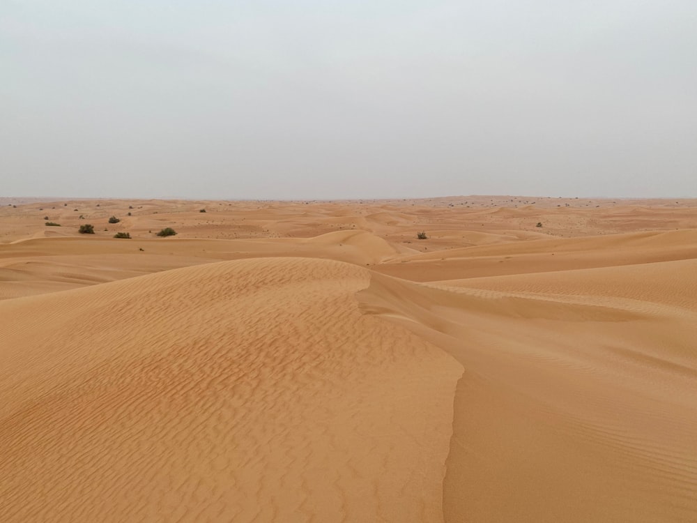 brown sand under blue sky during daytime