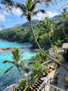 green trees beside body of water during daytime