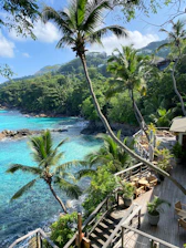 green trees beside body of water during daytime