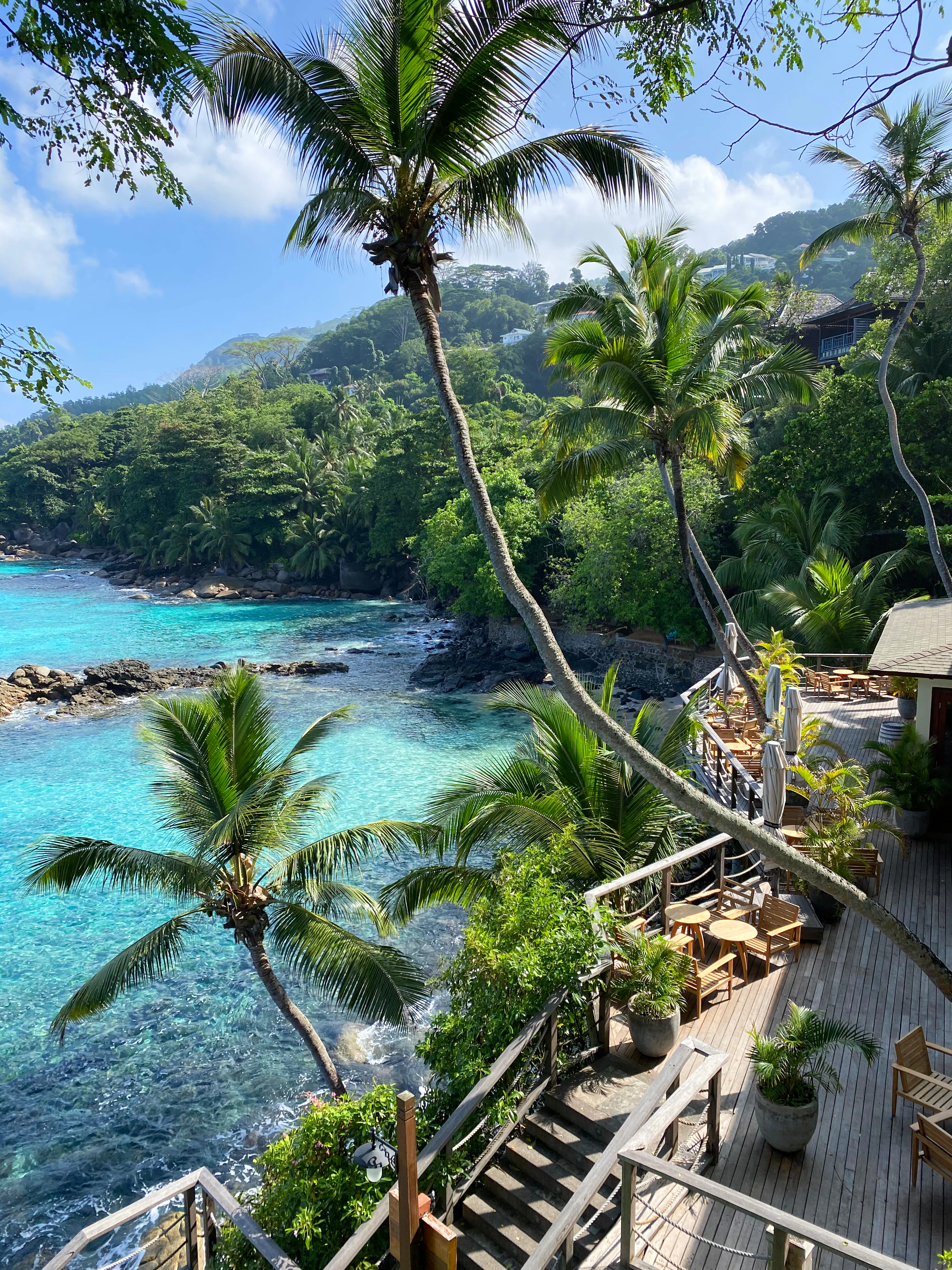 A wooden café terrace perched above a turquoise cove on Mahé, surrounded by leaning coconut palms and forested hills