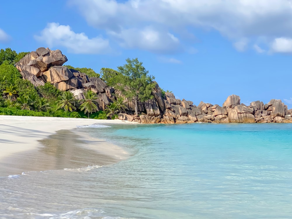 brown rocky shore under blue sky during daytime