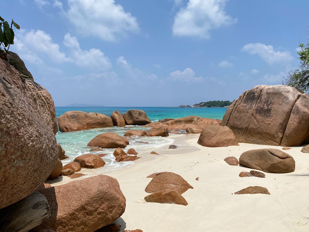 brown rocks on seashore during daytime