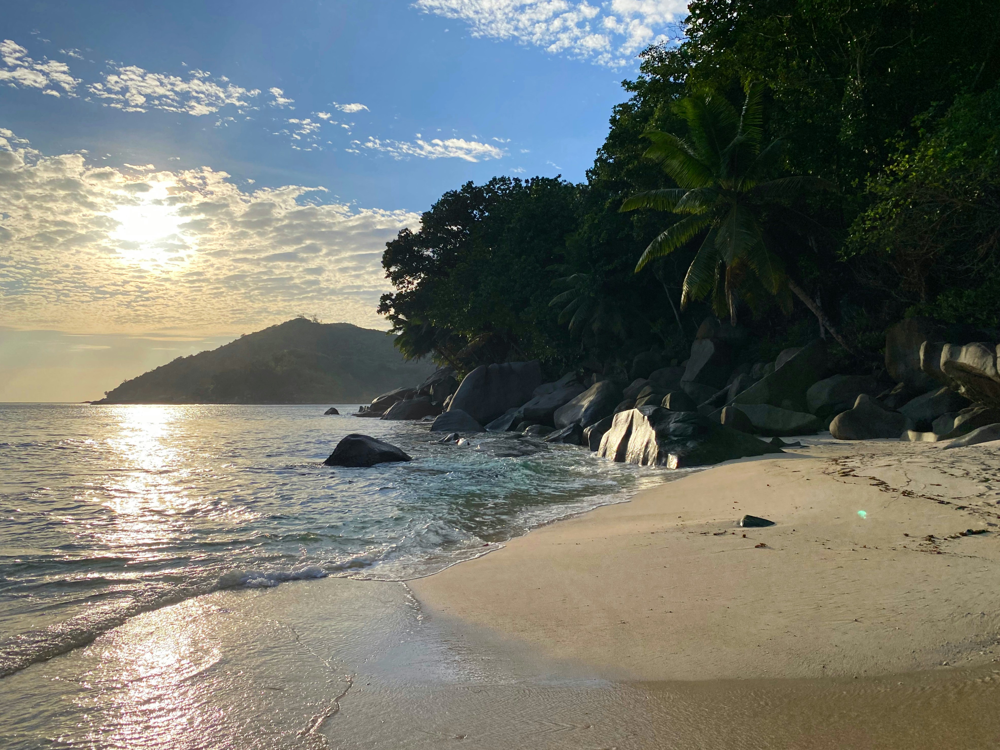 green palm tree near sea during daytime, Wonderful sunset hour in Victoria, Port Glaud, Seychelles.