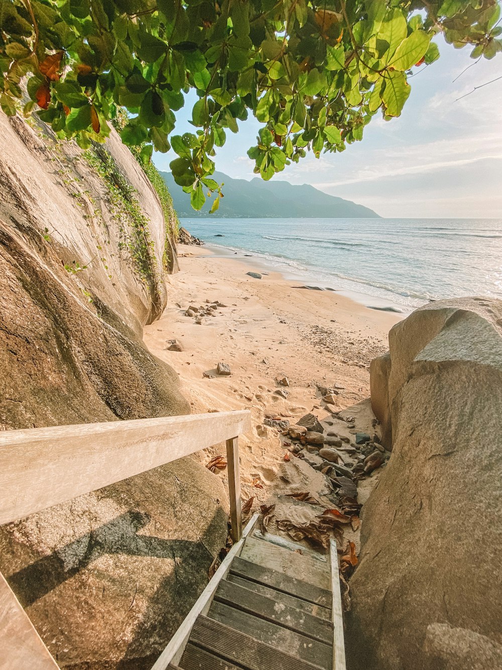 brown wooden stairs near body of water during daytime