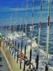 Close-up of high-quality fishing gear arranged neatly on a wooden dock.
