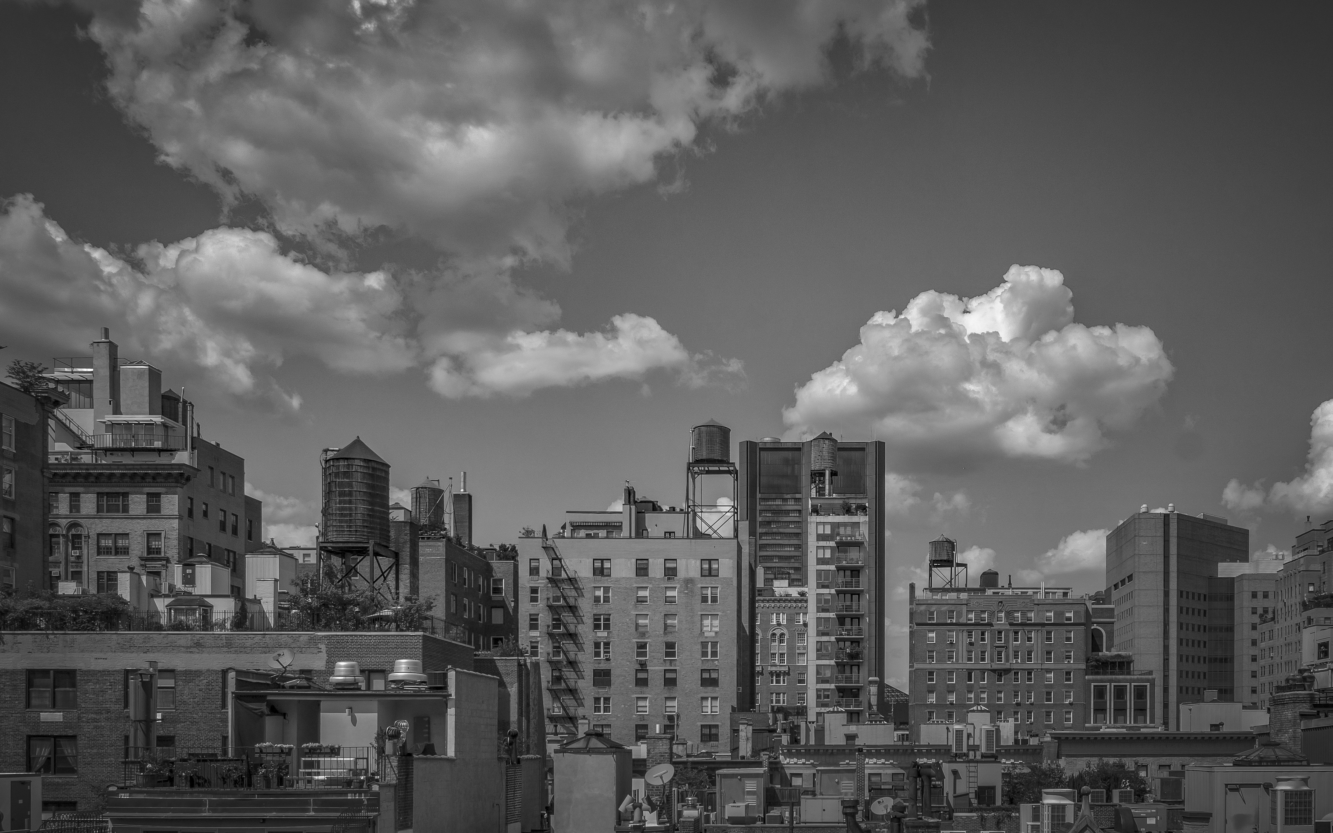 Photo by clayleconey