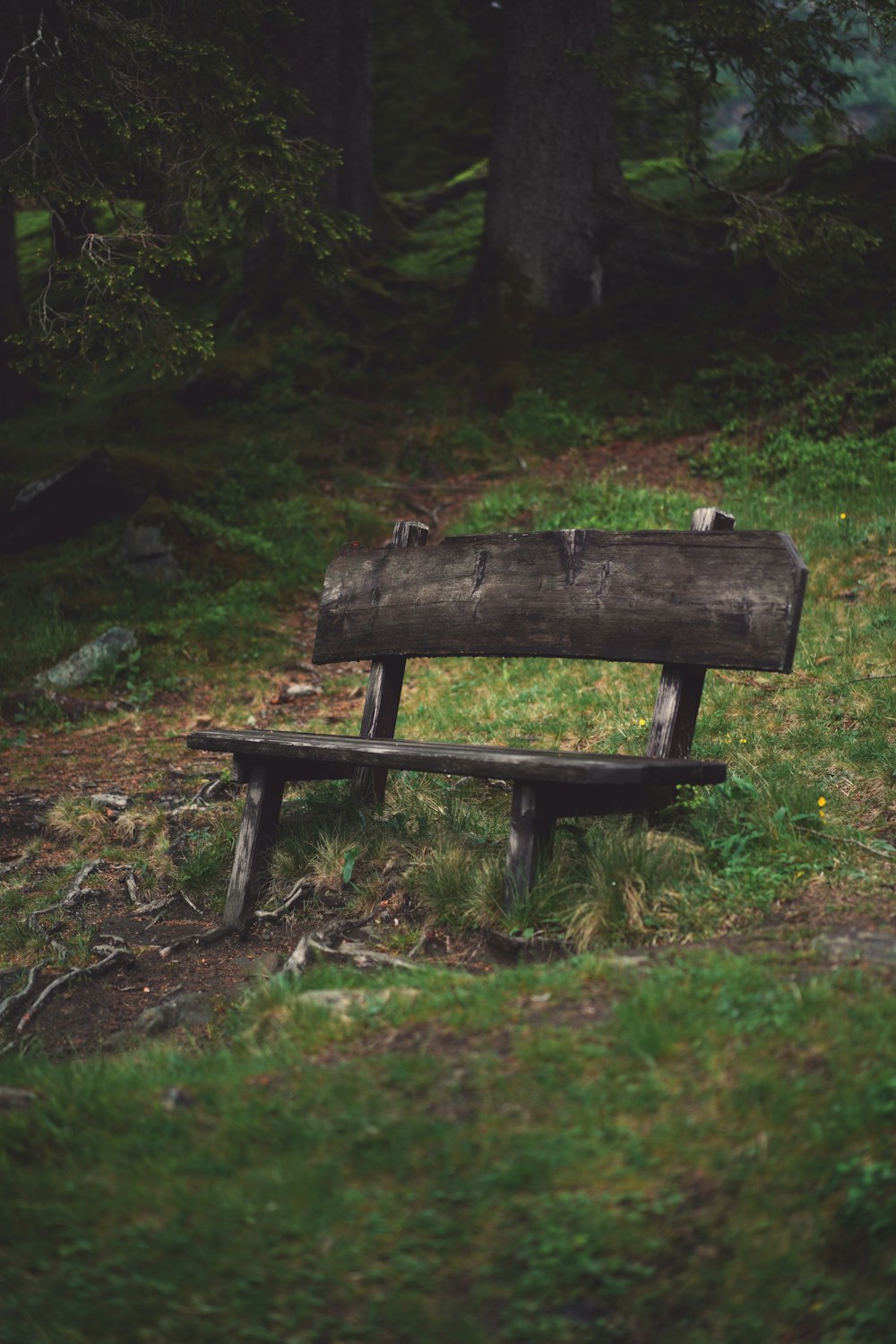 brown wooden bench on green grass field