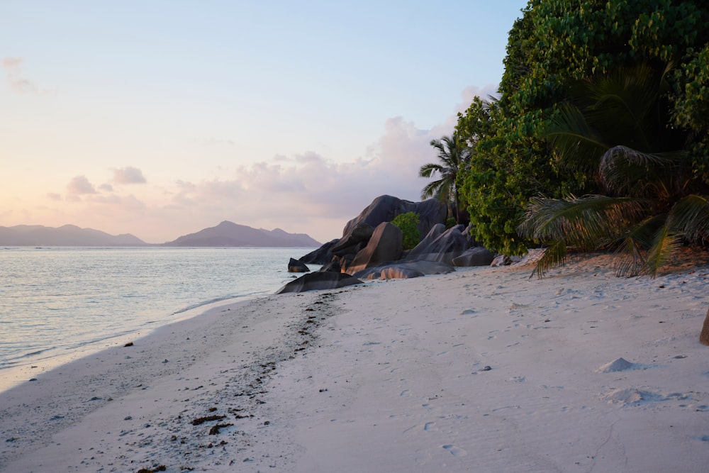 person lying on beach shore during daytime