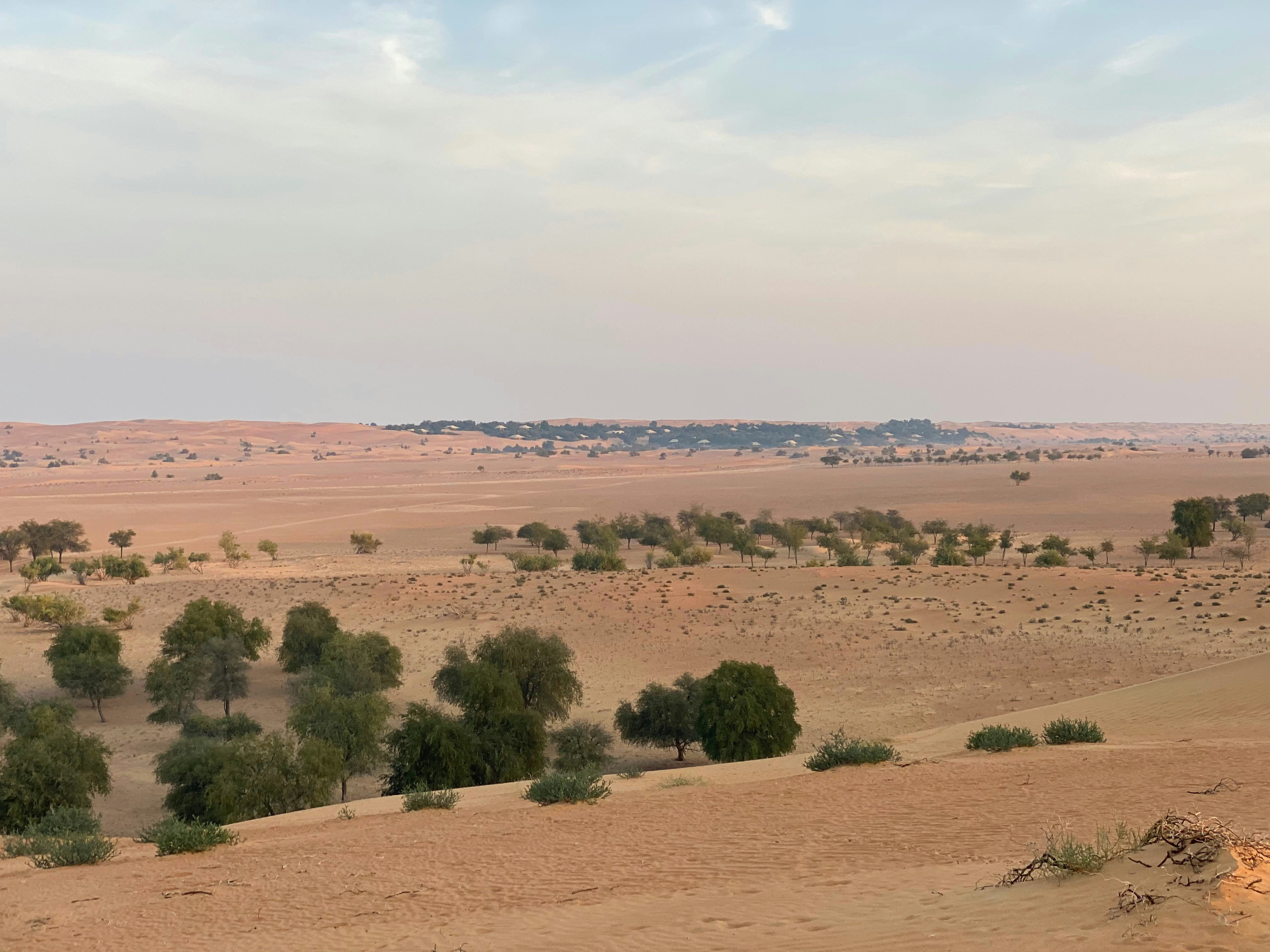 Photo by datingjungle