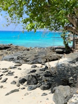 A serene beach scene with a hammock hanging between trees. The sandy shore is dotted with rocks and pebbles. Clear turquoise water stretches into the horizon under a blue sky. Lush green foliage provides shade, casting dappled patterns onto the sand.