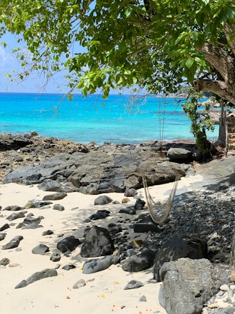 A serene beach scene with a hammock hanging between trees. The sandy shore is dotted with rocks and pebbles. Clear turquoise water stretches into the horizon under a blue sky. Lush green foliage provides shade, casting dappled patterns onto the sand.