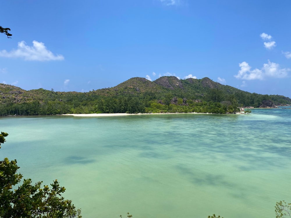 green trees on island during daytime