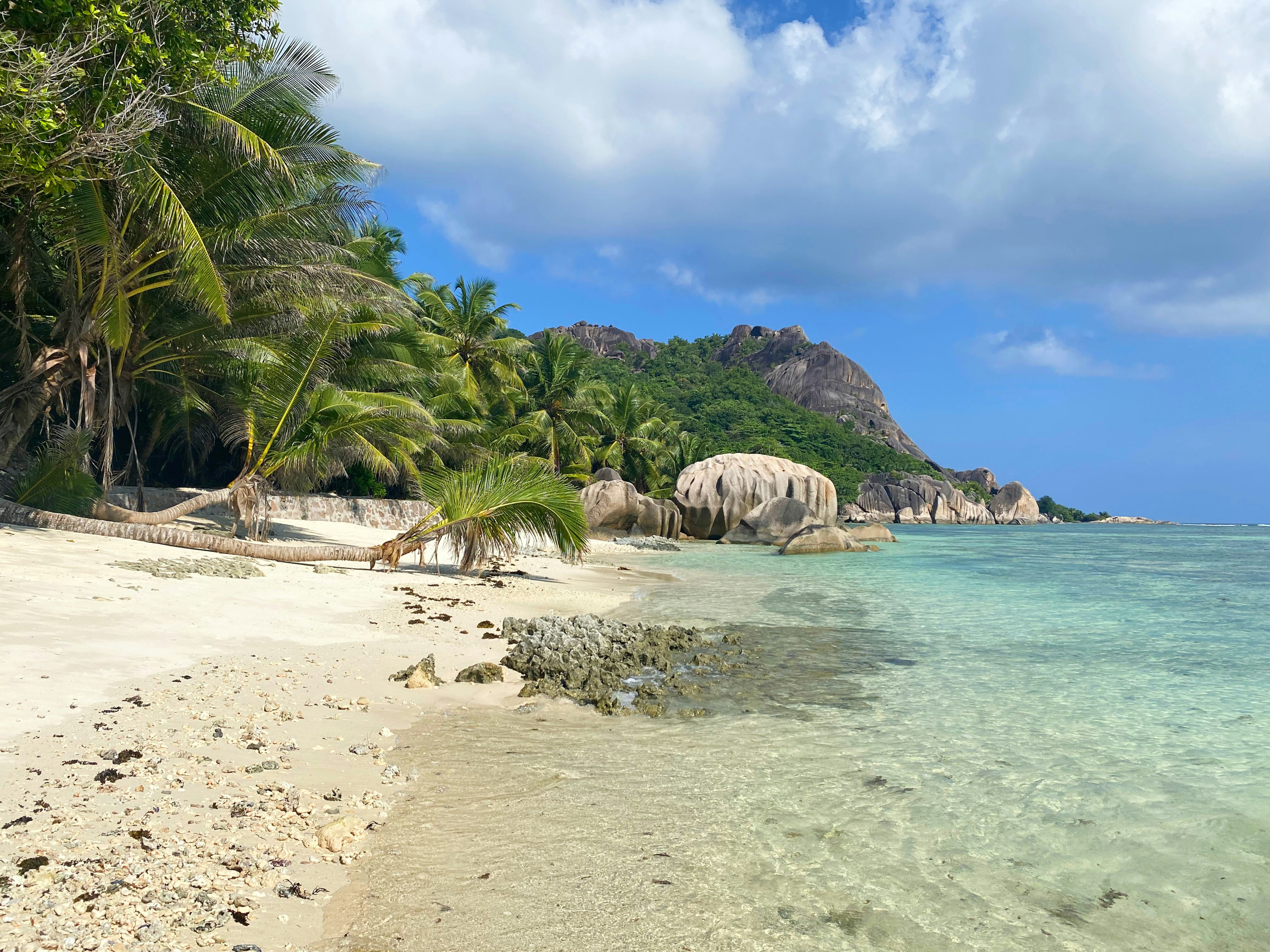 Photo by datingjungle