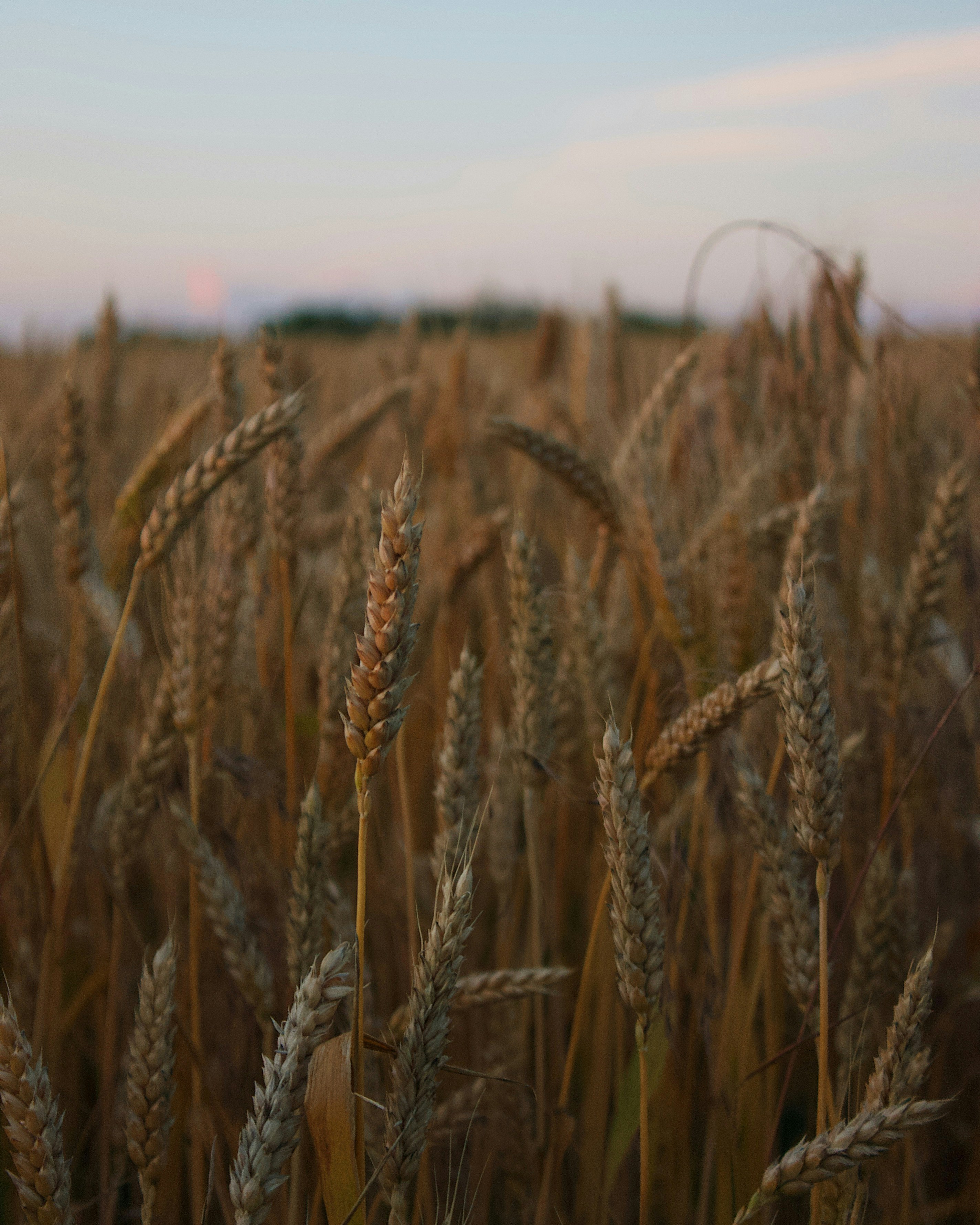 Photo by svitlana_rusak