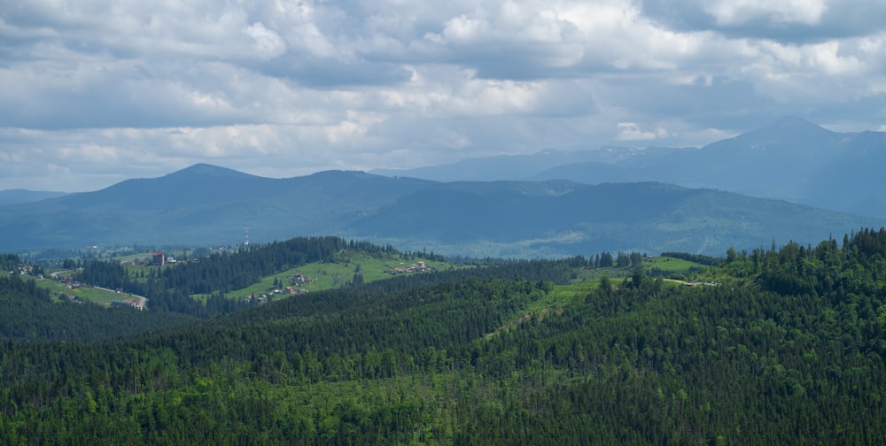 green trees on mountain under white clouds during daytime