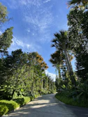 A serene pathway through the Vistamar Residences community, framed by tropical plants and mountain views.