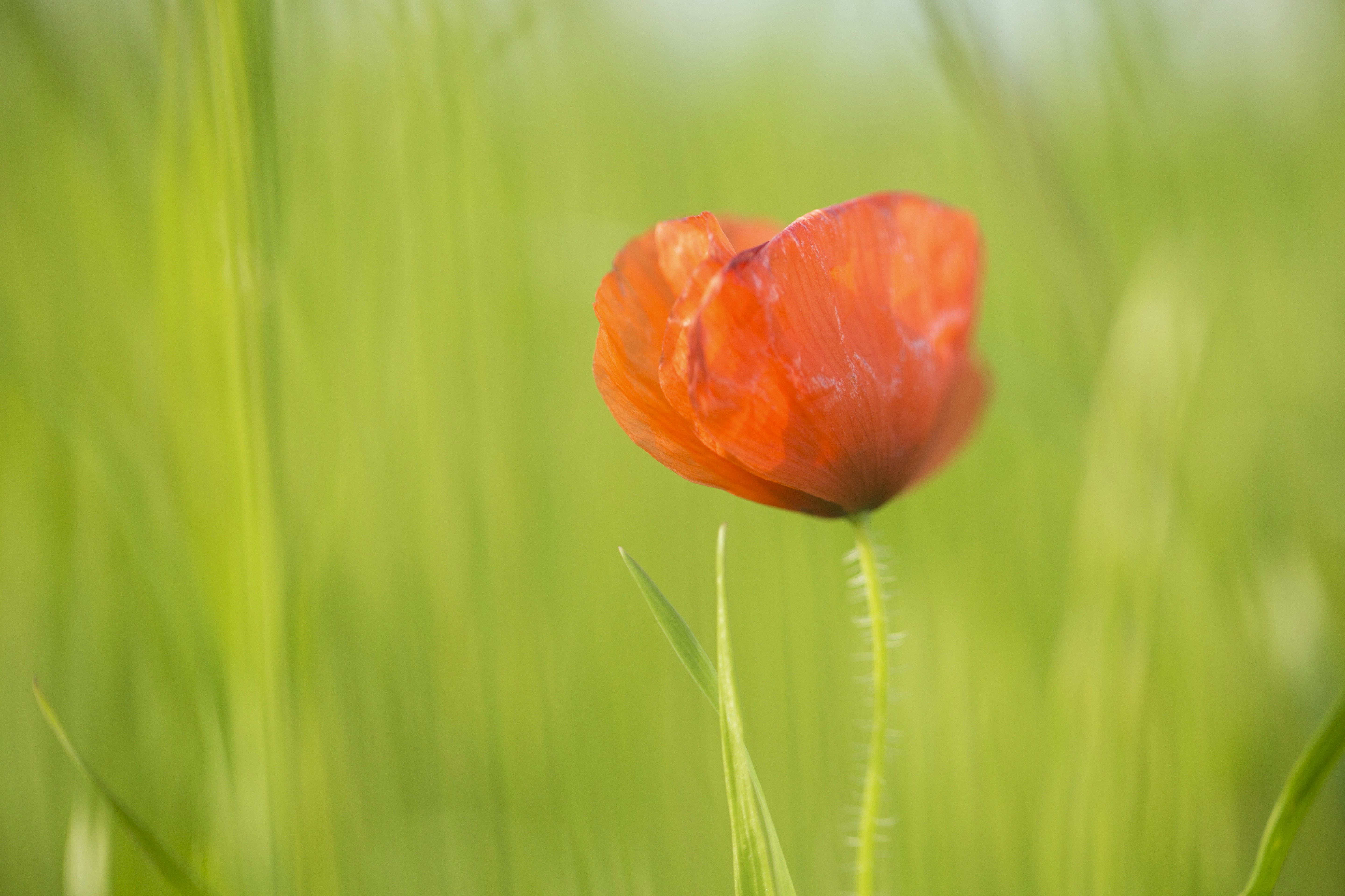 Photo by ditakesphotos