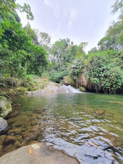 A serene outdoor scene showing natural sound barriers like trees and terrain in Colombia.