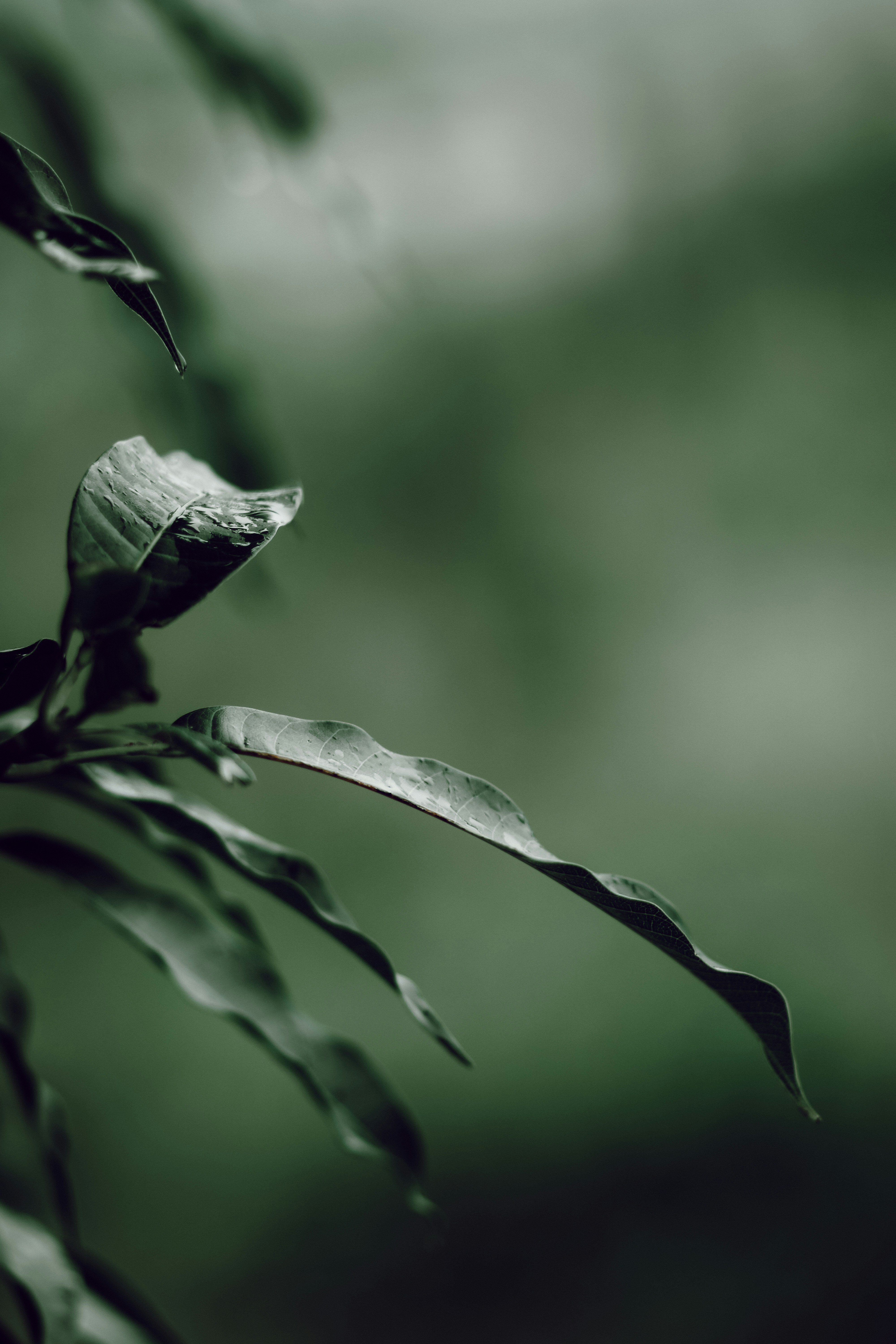 Photo by shubham_chavan_