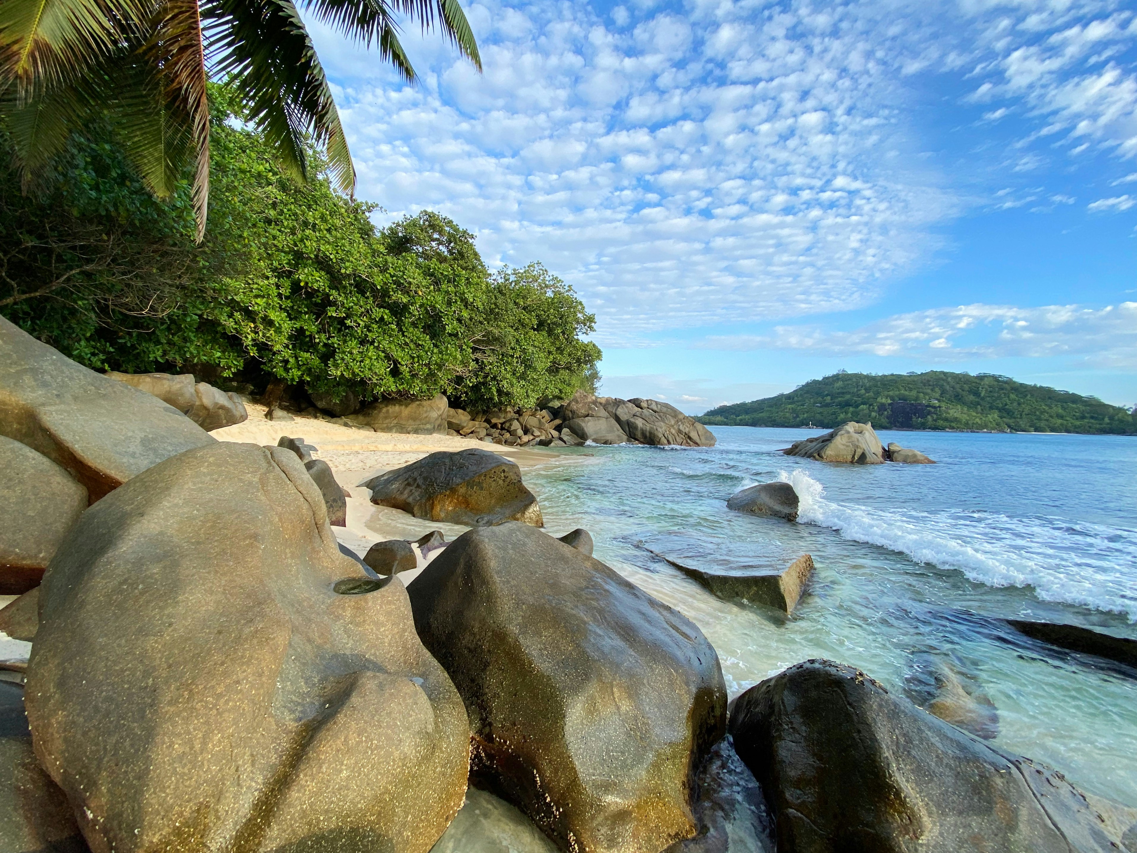 green palm tree near body of water during daytime, Perfect vacation experience in Victoria, Port Glaud, Seychelles.