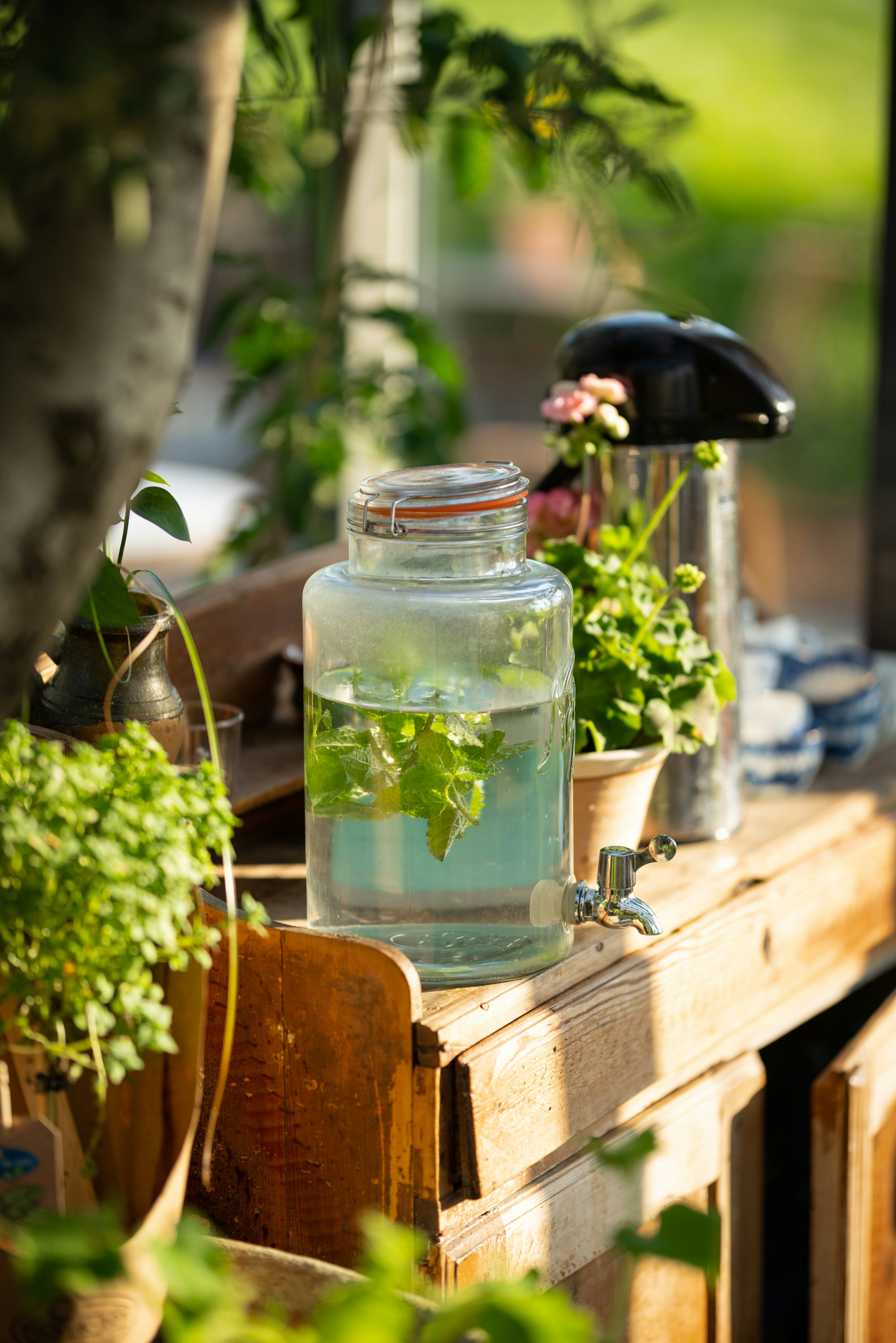 Pot en verre transparent avec des feuilles vertes