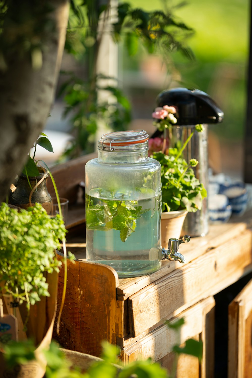 clear glass jar with green leaves