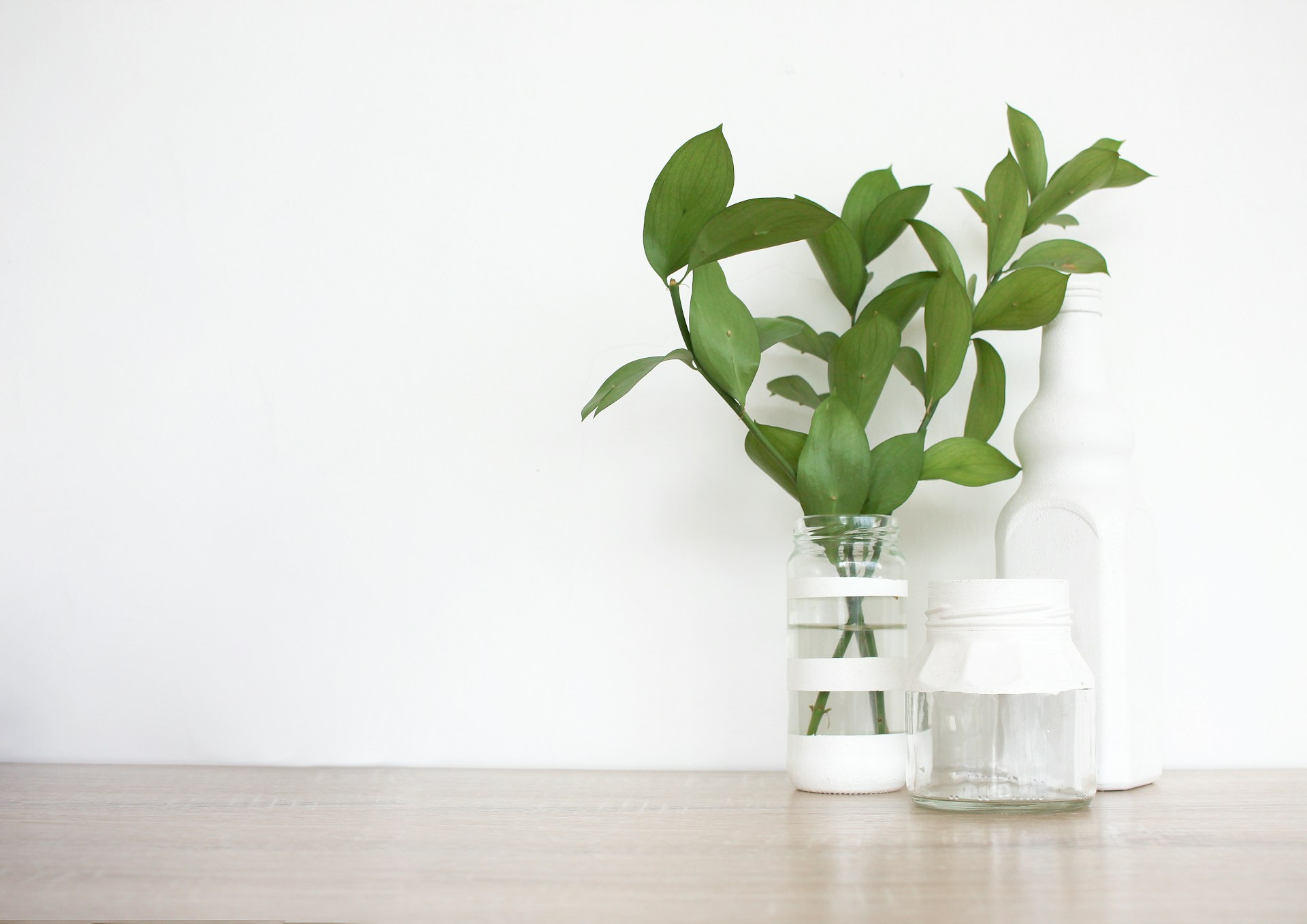 green plant in clear glass vase