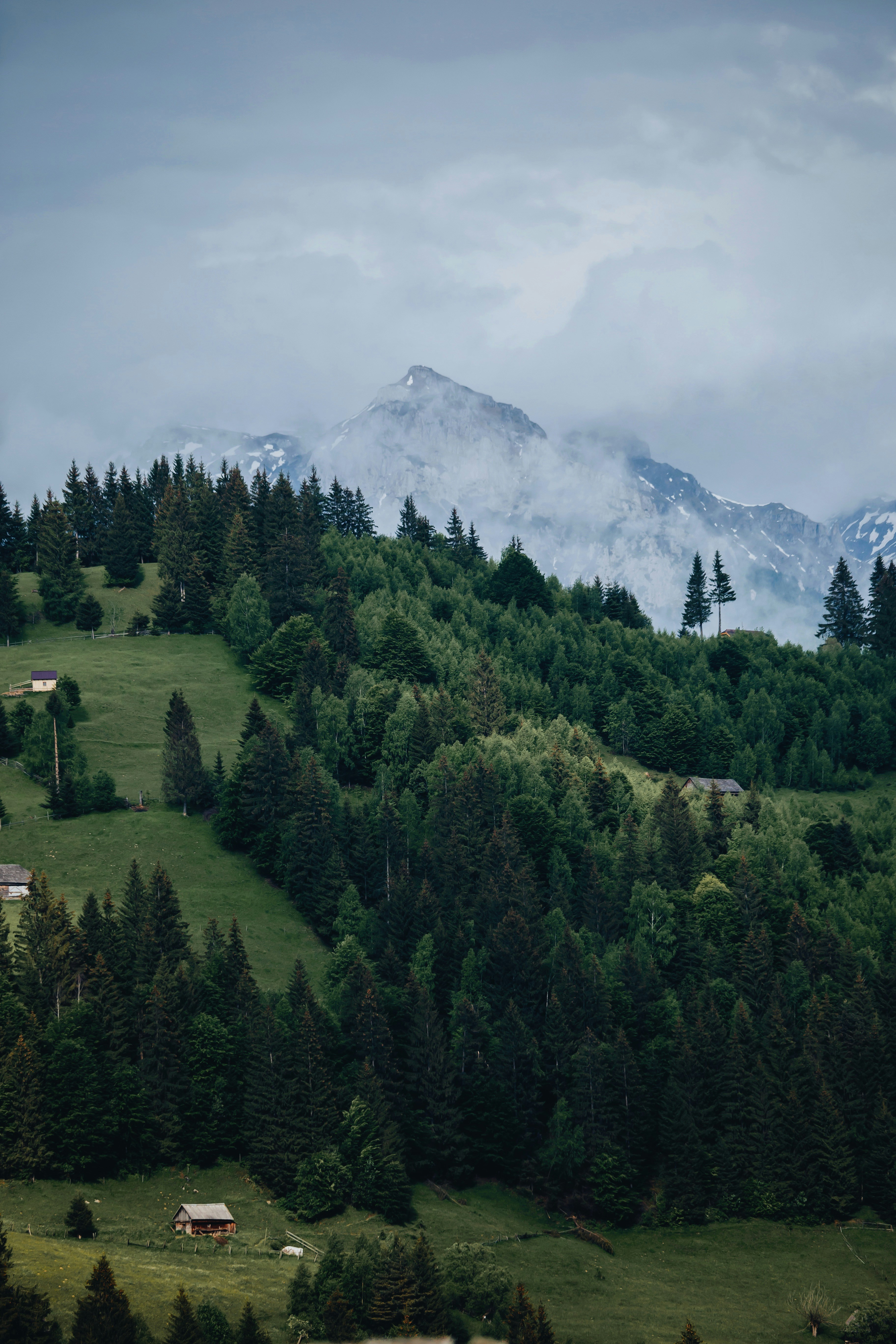 Photo by gloriacretu