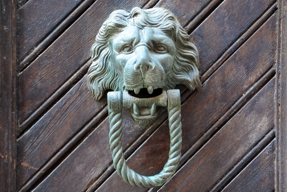 gray lion head on brown wooden surface