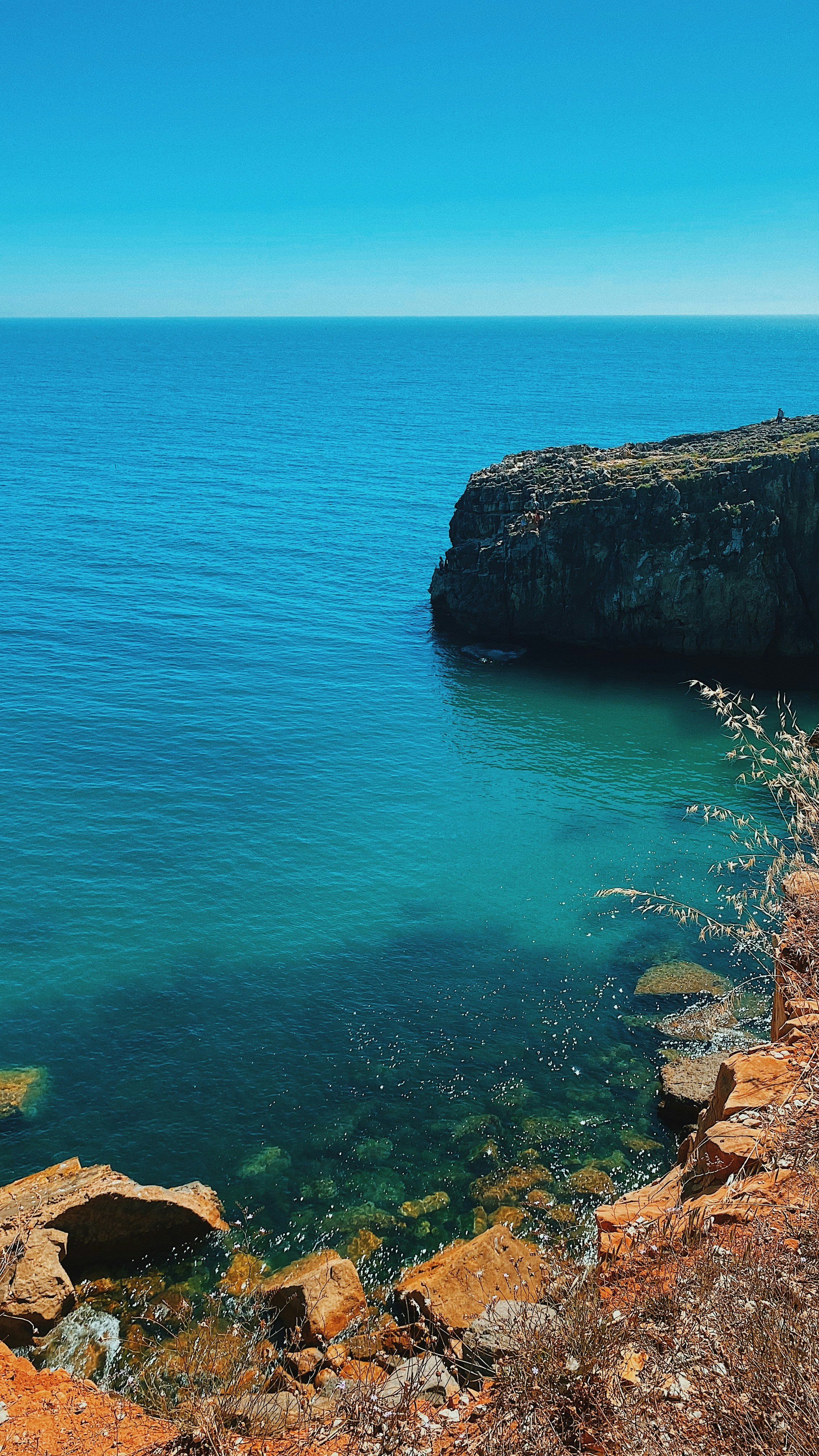 Photo by viniciusmorandi