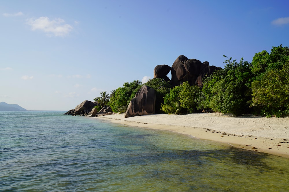 brown rock formation on sea shore during daytime