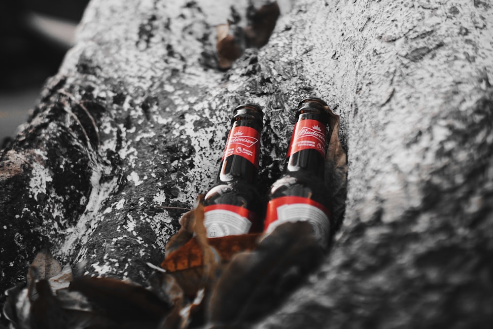 three brown glass bottles on ice