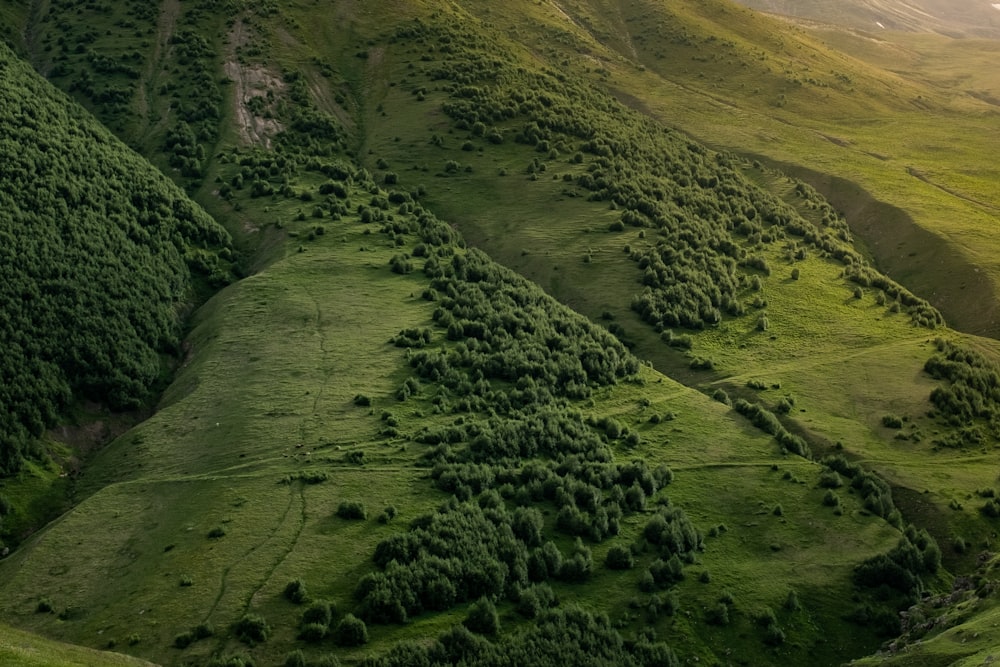 green grass field on hill during daytime