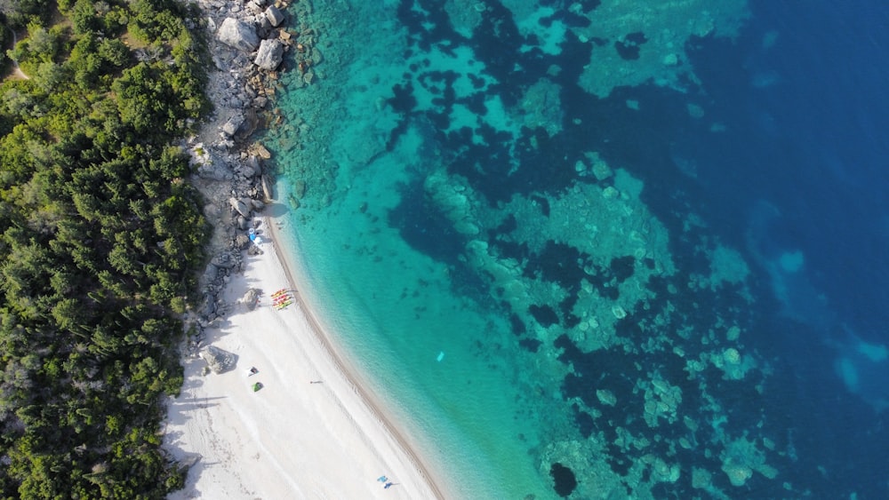 aerial view of beach during daytime