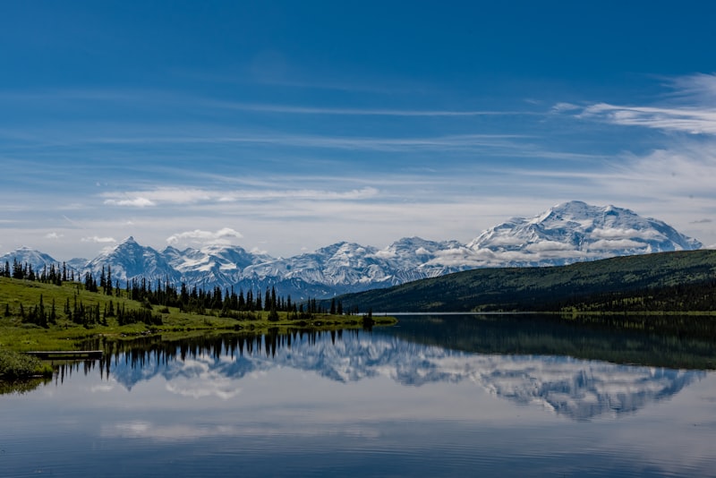 Lago y bosque en Denali