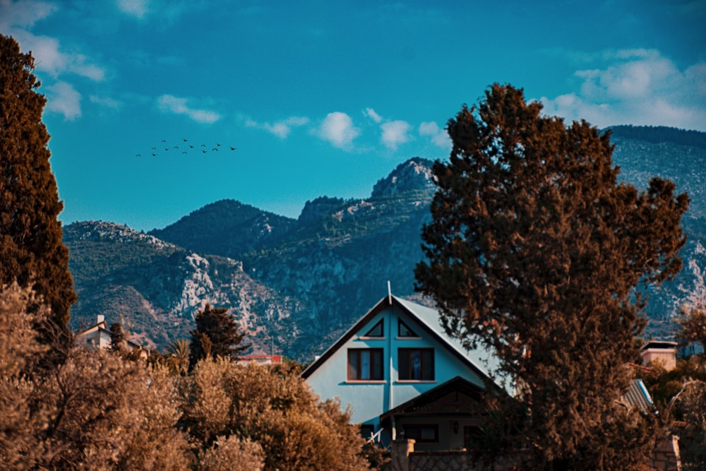 brown and white house near brown trees and mountains during daytime