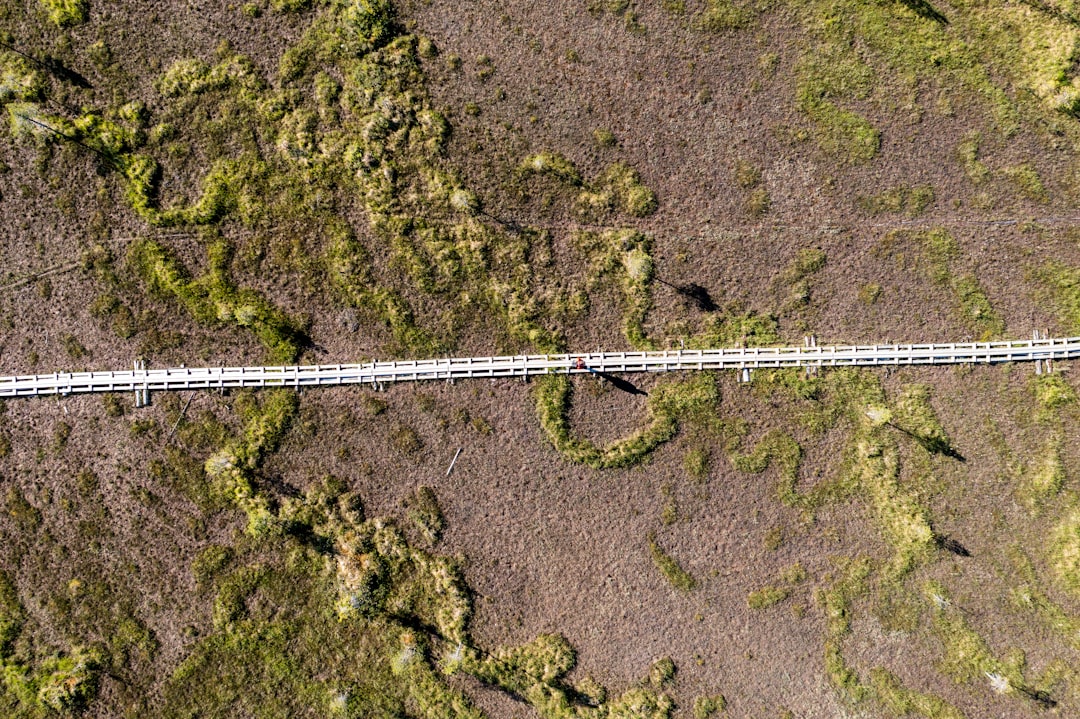 aerial view of bridge over river