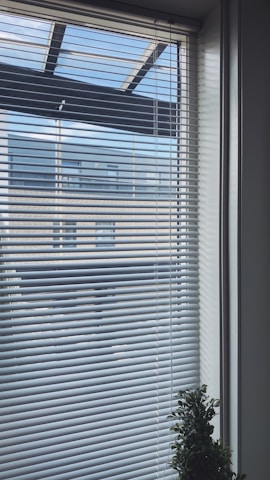 Venetian blinds cover a window, partially allowing a view of the outside where a modern building and a clear sky are visible. In the corner of the window, there is a small potted plant.