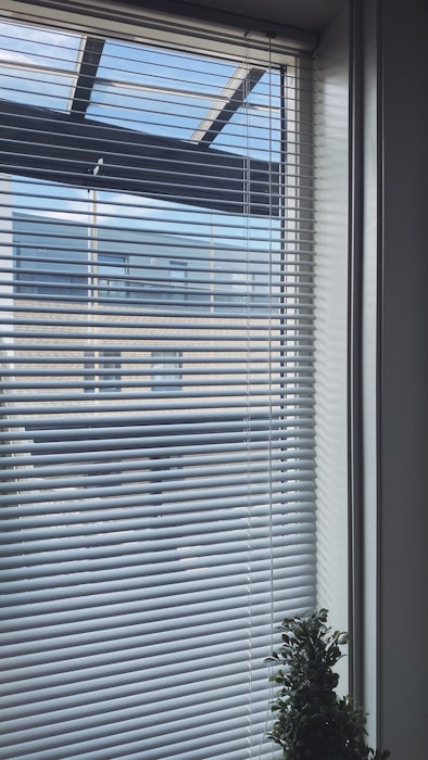 Venetian blinds cover a window, partially allowing a view of the outside where a modern building and a clear sky are visible. In the corner of the window, there is a small potted plant.